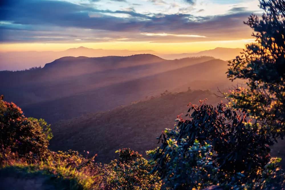 Horton Plains