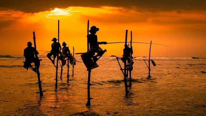 Hôtels à Koggala
