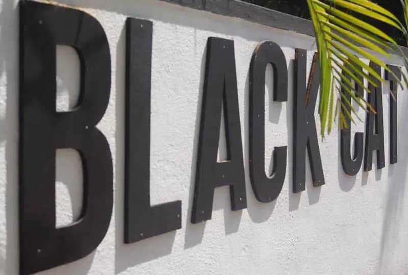 Black Cat Cafe &amp; Stay