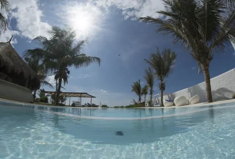 Dolphin Beach Resort