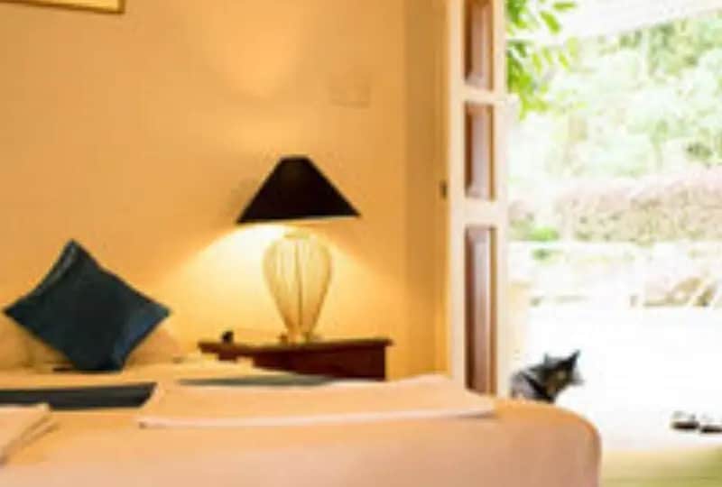 Chambre Deluxe - Forest Edge
