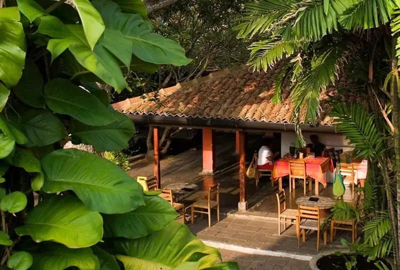 Les meilleurs cafés de Colombo