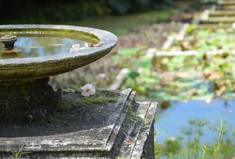 Jardins de Brief