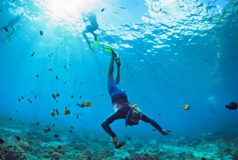 Plongée et snorkeling à Bentota