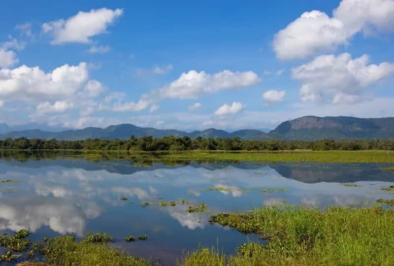 Dunuwila