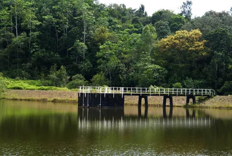 Forêt pluviale et réservoir de Hiyare