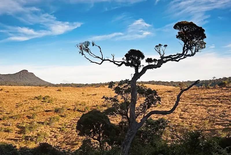 Horton Plains