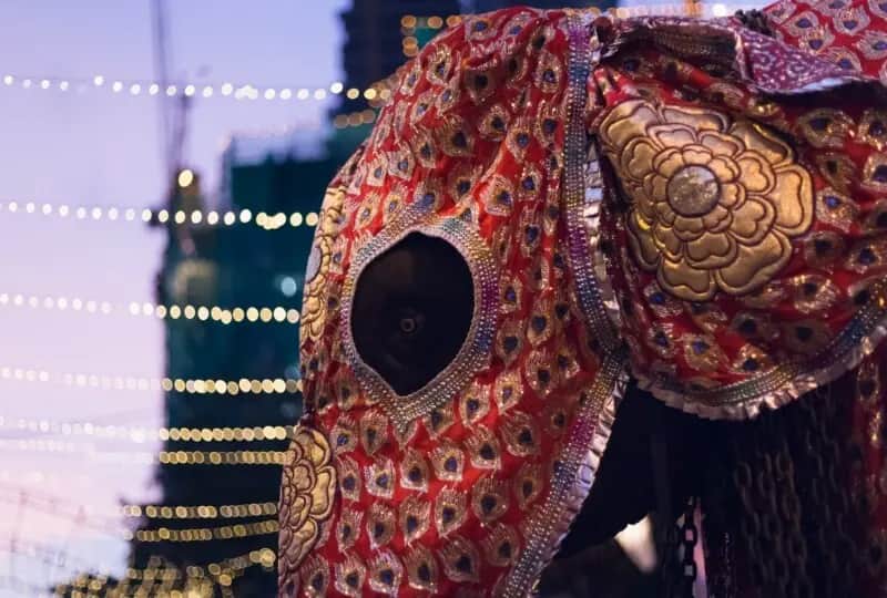 Esala Perahera de Kandy