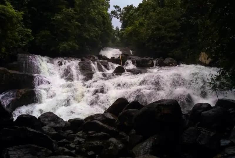 Forêt pluviale de Kanneliya