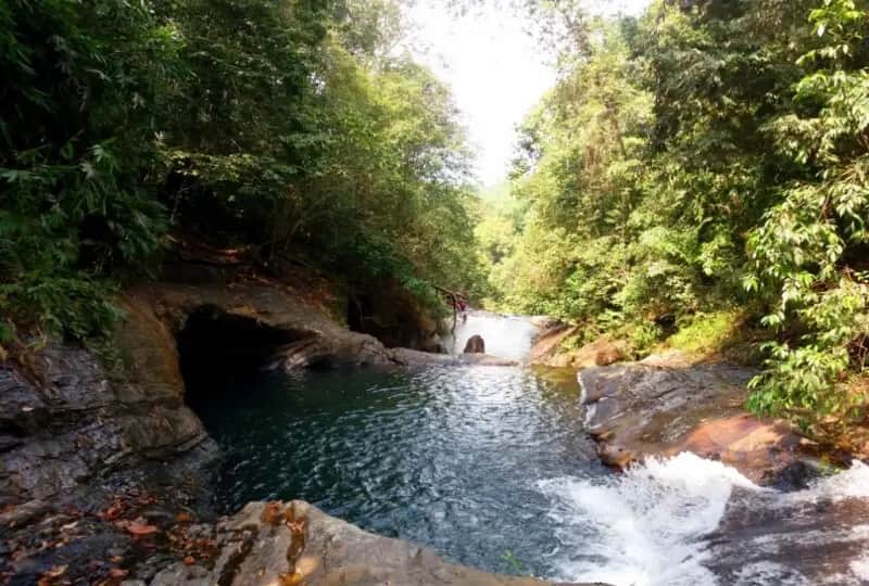 Randonnée dans la jungle de Kitulgala