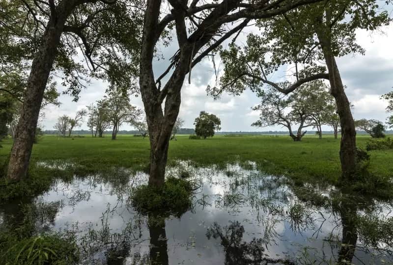Safari au parc national de Lahugala