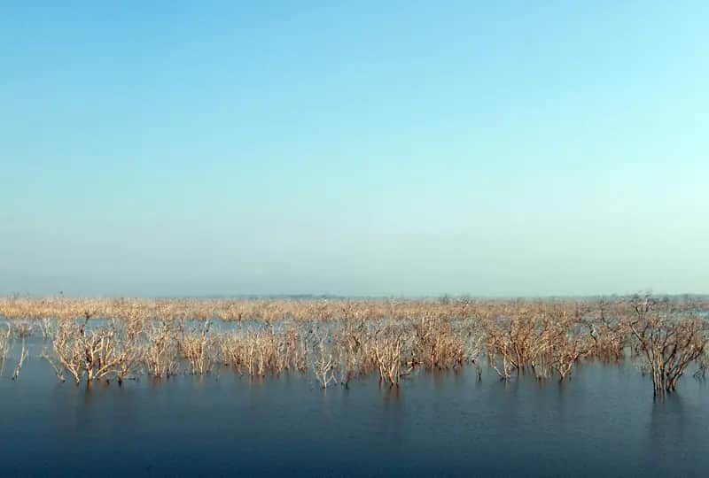 Parc national de Lunugamvehera