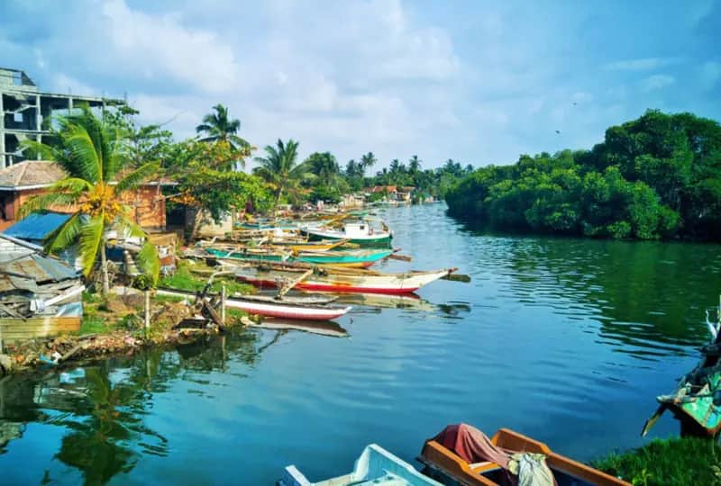 Lagune de Negombo