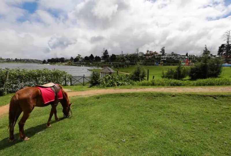 Hippodrome de Nuwara Eliya