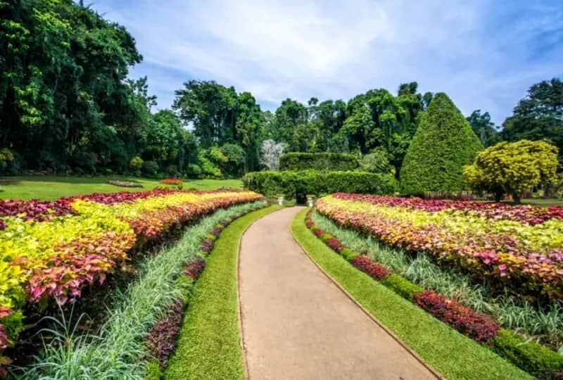 Jardin botanique royal