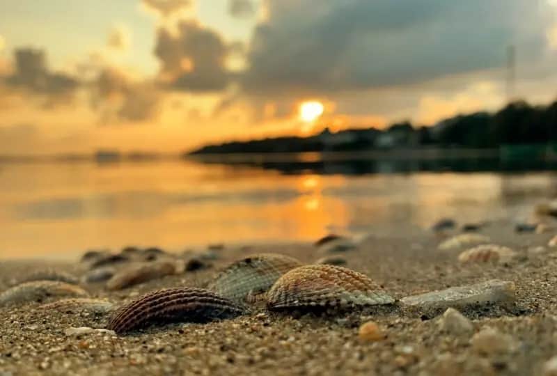 Port de Trincomalee