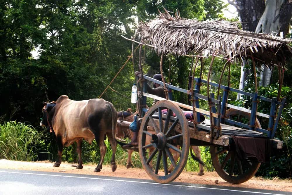 Visite de village
