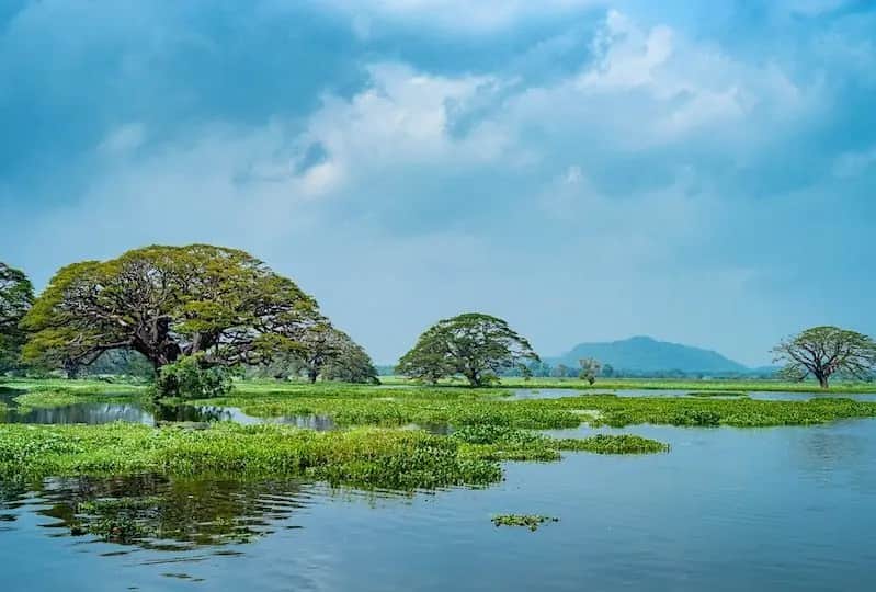 Sanctuaire de Weerawila et Tissa