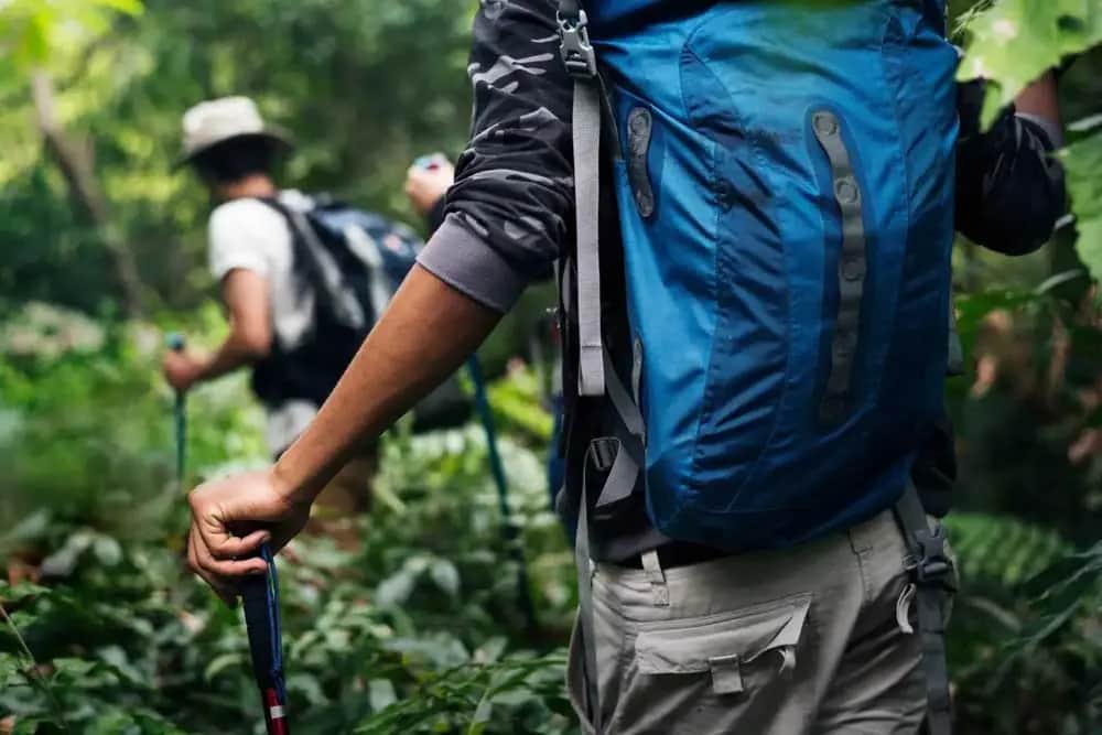 Hiking & Trekking