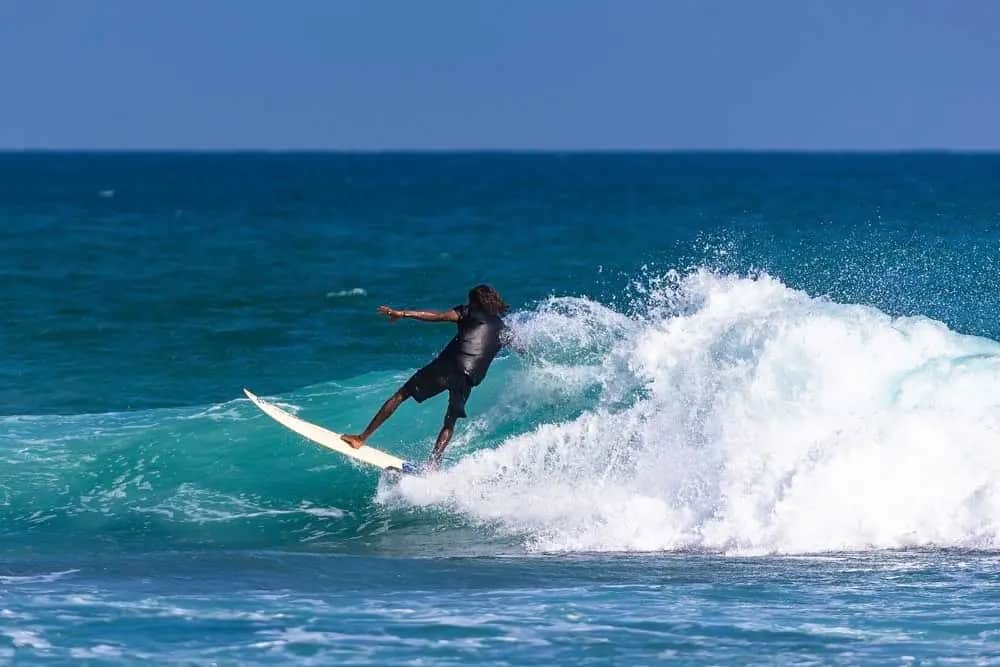 Surf