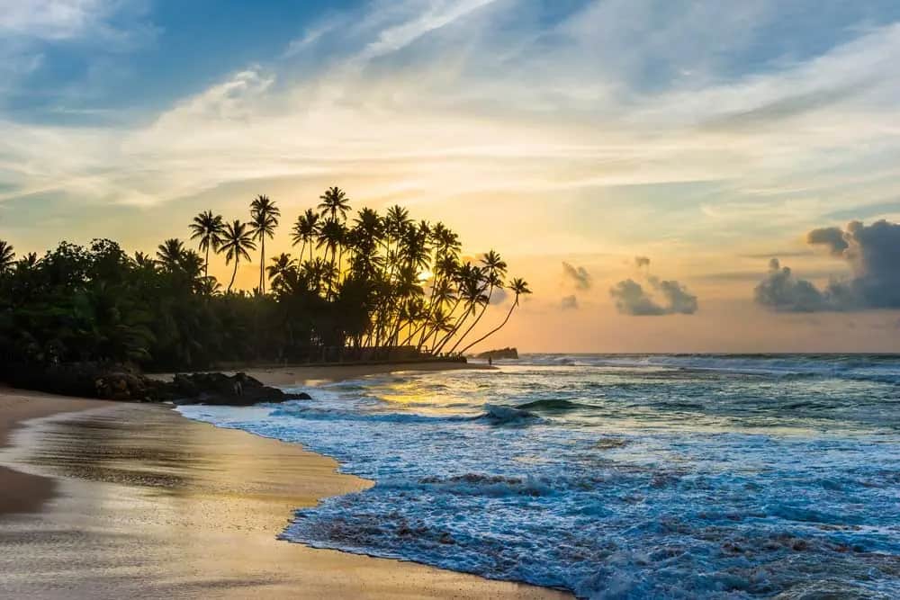 Que faire à Galle