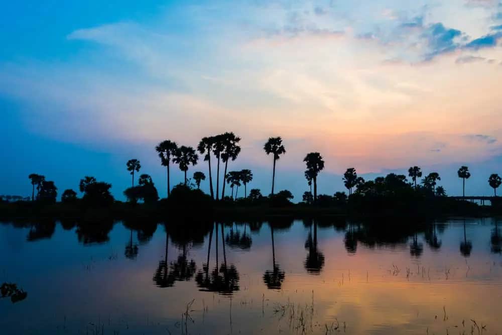 Que faire à Jaffna Que faire à Jaffna
