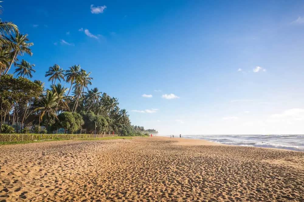 Que faire à Kalutara