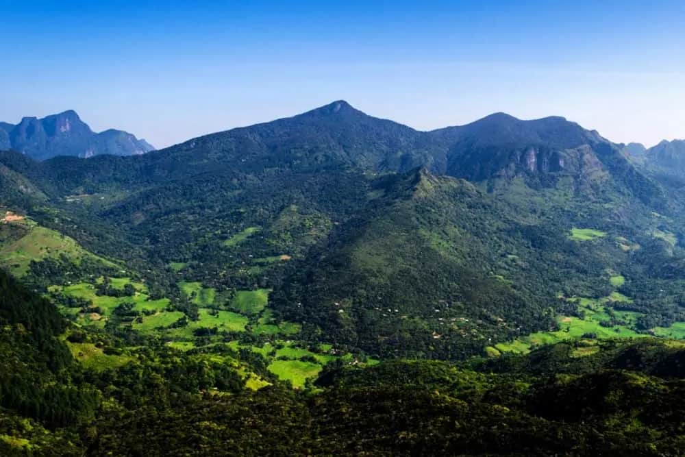 Que faire dans le massif des Knuckles