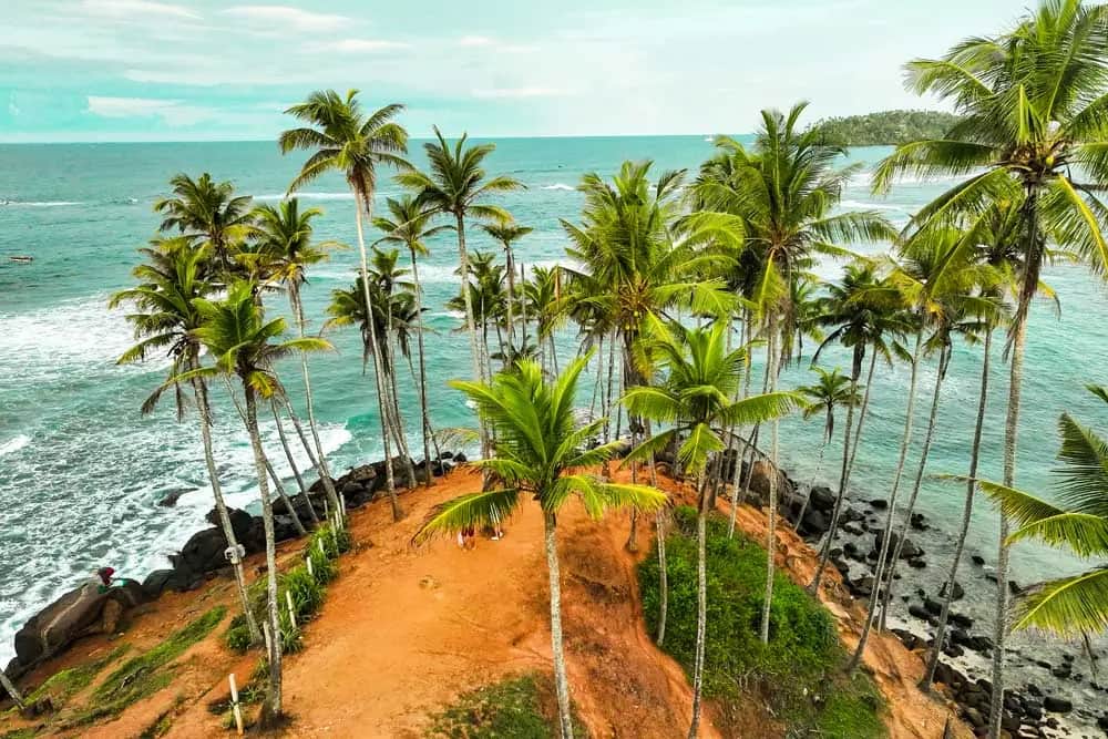 Que faire à Mirissa