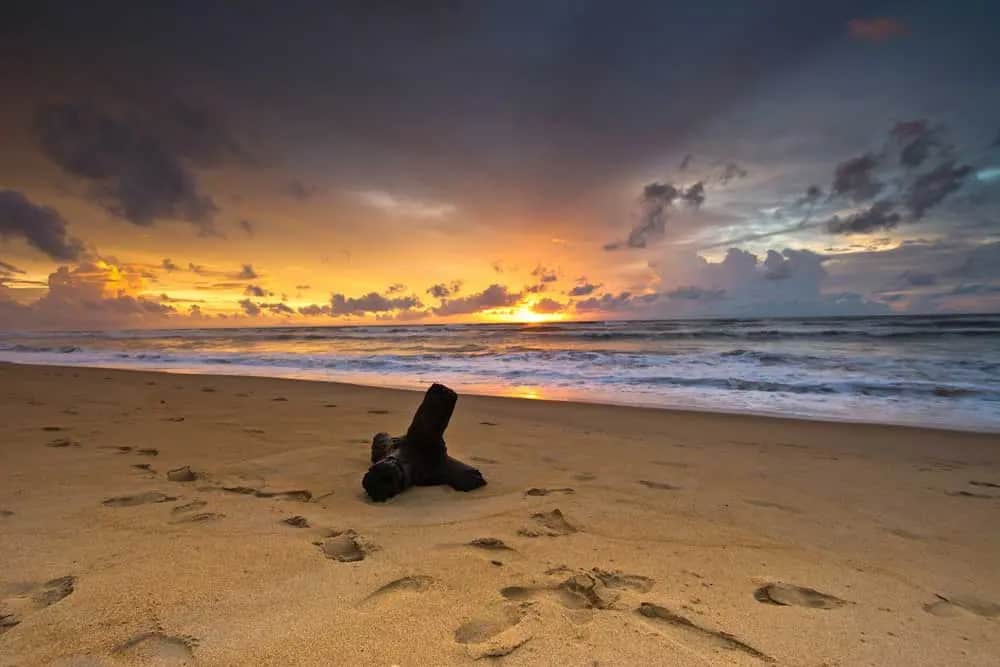 Que faire à Trincomalee