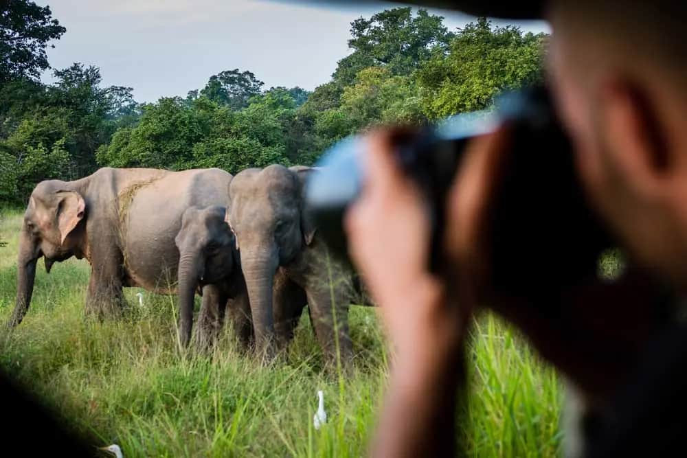 Que faire à Yala Que faire à Yala
